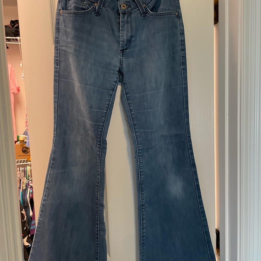James Jeans Women’s 28 Slightly Distressed Flared leg Humphrey Angel